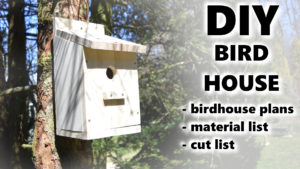 Building a Birdhouse | How to build a bird house - My Little Crafts