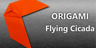 Flying cicada - ORIGAMI